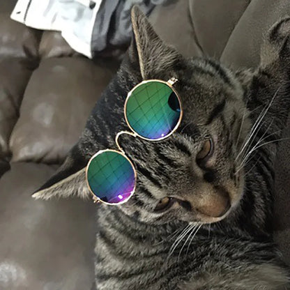 Pawlaroids Dog Sunglasses