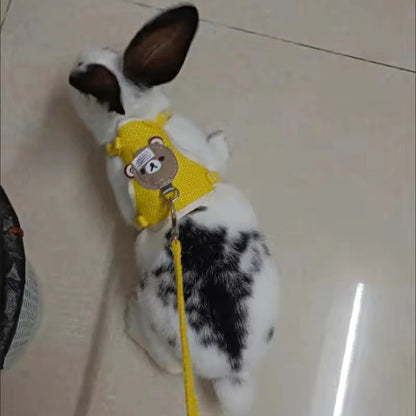 HopAlong Rabbit Harness and Leash