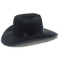 YeePaw Pet Cowboy Hat