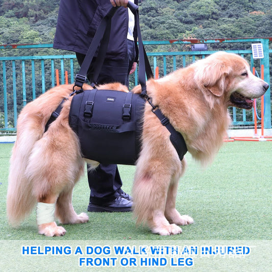 PawLift Support Sling