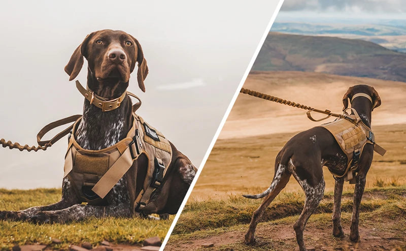 K9 Commando Tactical Dog Harness & Leash Set