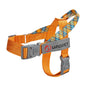 Stridezilla Harness