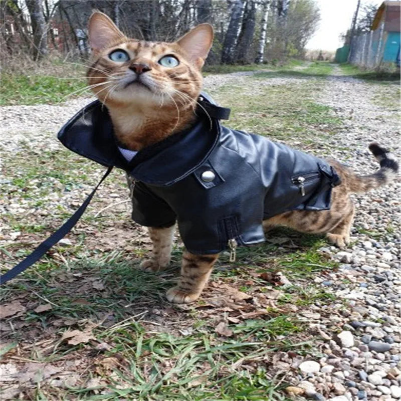 RebelTail Eagle Rider Jacket