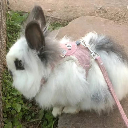 HopAlong Rabbit Harness and Leash