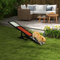 Wag & Wobble Canine Seesaw Trainer