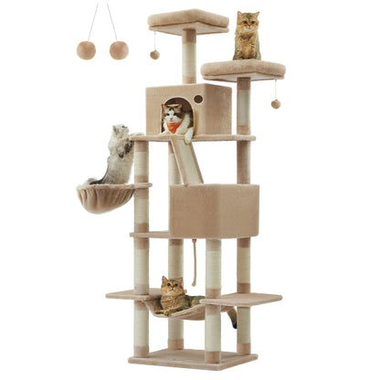 The Purrfect Palace